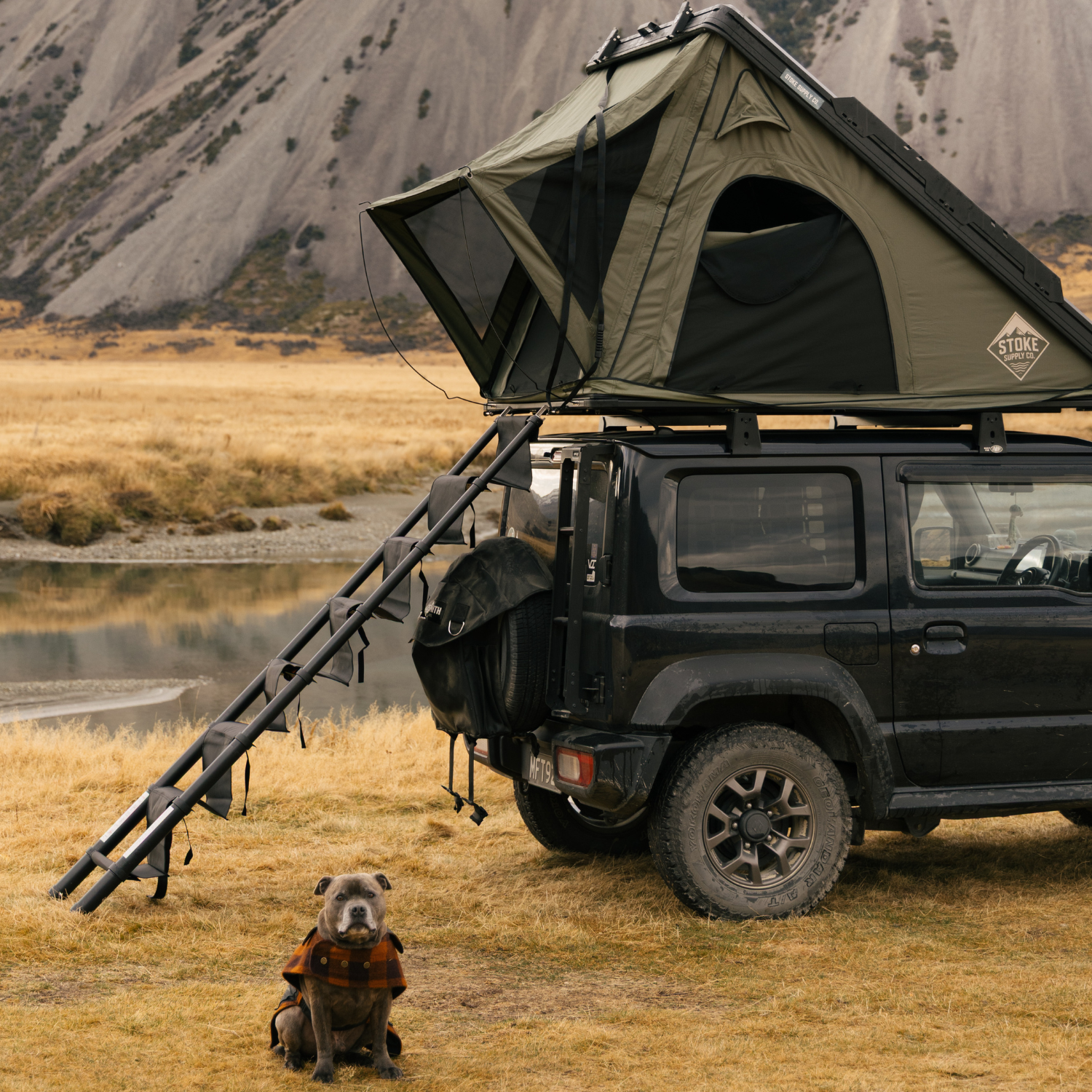 Stoke soft fabric steps running from the ground up to an open rooftop tent, dog sitting at the base