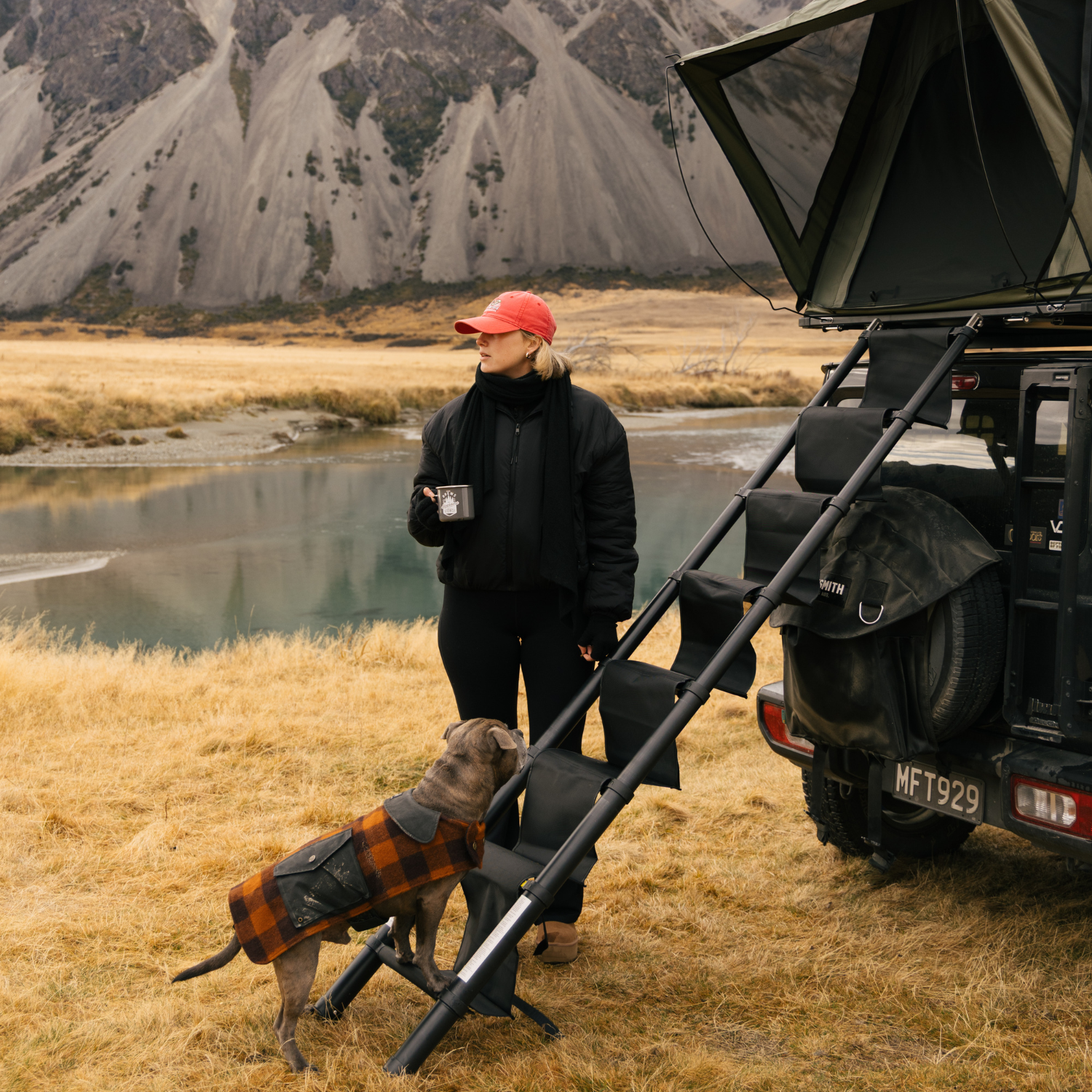 A dog climbing the Stoke fabric steps up into the rooftop tent while the owner watches